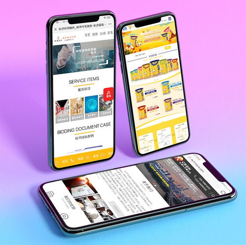 簡界網絡 一站式長沙網站建設推廣與運維營銷解決方案